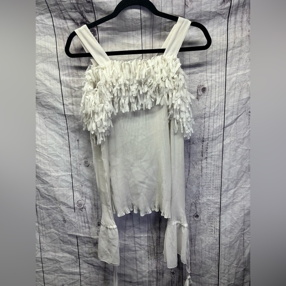 Kaelyn Max Vintage Fringe Off The Shoulder Chiffon Long Sleeve Large - Picture 1 of 5